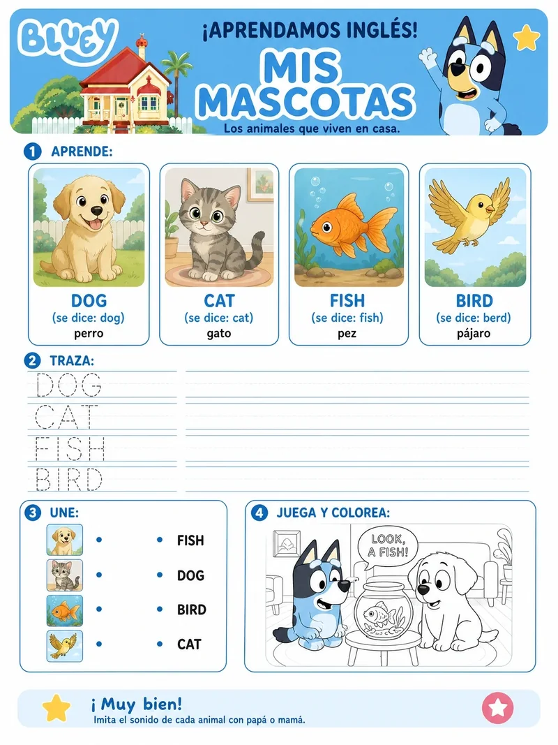 Ficha de mascotas en inglés — dog, cat, fish, bird
